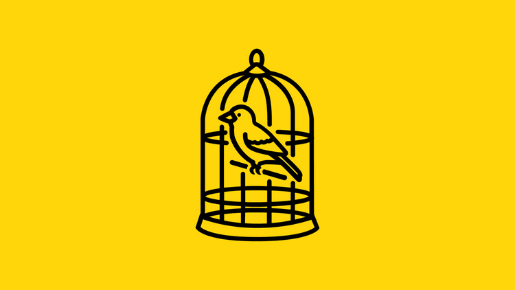 Cartoon image of a bird in a cage referencing the phrase "why do I feel stuck?".